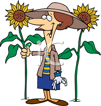 Farm Produce Clipart