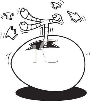 Bird Clipart