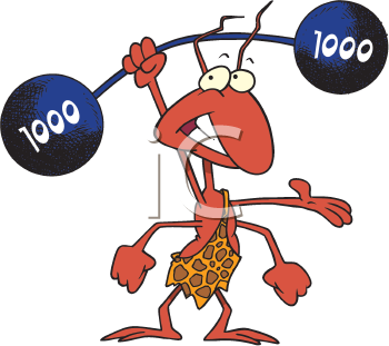 Cartoon Clipart
