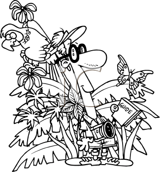 Bird Clipart
