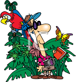 Bird Clipart