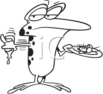 Insect Clipart