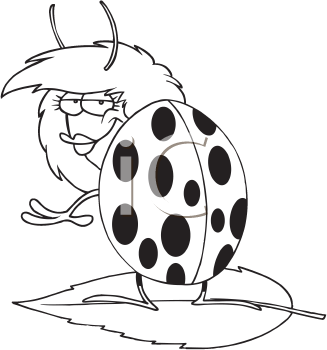 Insect Clipart