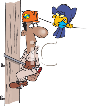 Bird Clipart