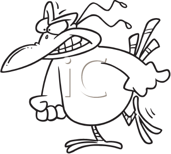 Bird Clipart