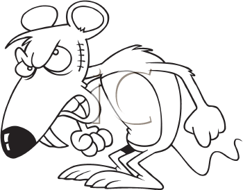 Rodent Clipart