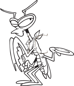 Insect Clipart