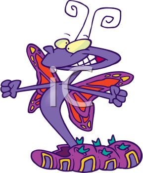 Insect Clipart