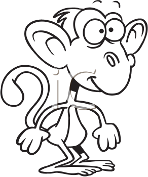 Primate Clipart