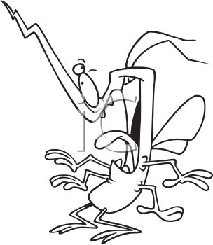 Insect Clipart