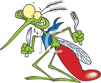 Insect Clipart