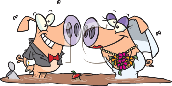 Insect Clipart