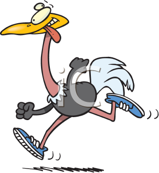 Bird Clipart