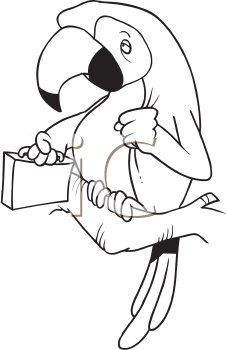 Bird Clipart