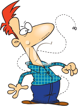 Insect Clipart