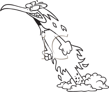 Bird Clipart
