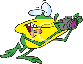 Amphibians Clipart