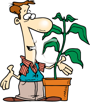 Cartoon Clipart