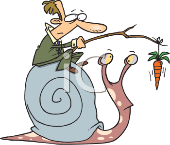 Mollusk Clipart