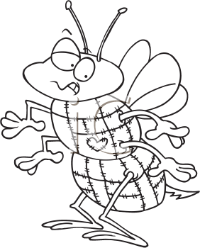 Insect Clipart
