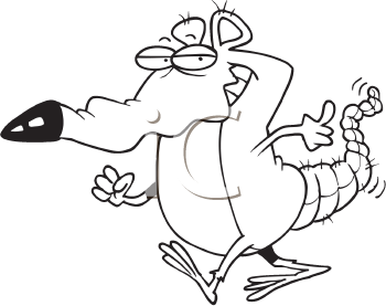 Rodent Clipart