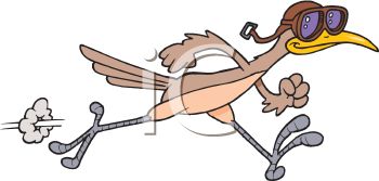Bird Clipart