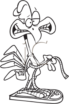 Farm Animal Clipart