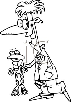 Amphibians Clipart