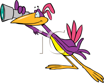 Bird Clipart