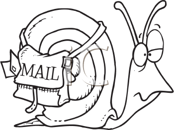 Insect Clipart