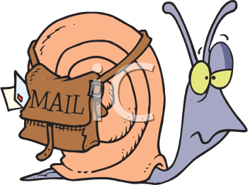 Mollusk Clipart