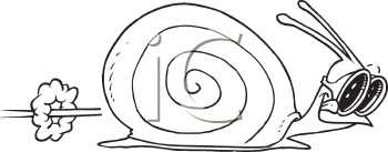 Mollusk Clipart