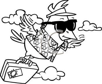 Insect Clipart