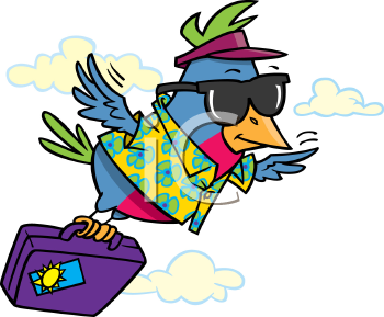 Insect Clipart
