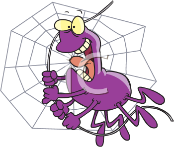 Insect Clipart