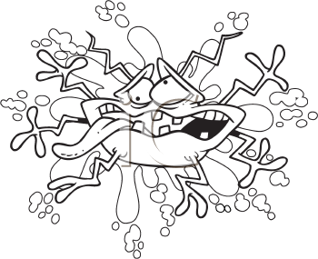 Insect Clipart