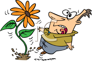 Nature and Scenic Clipart