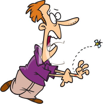 Insect Clipart