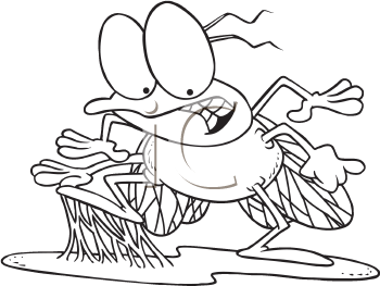 Insect Clipart