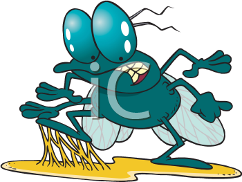 Insect Clipart