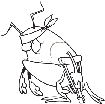 Insect Clipart
