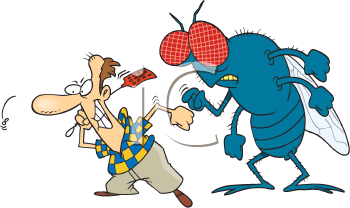 Insect Clipart