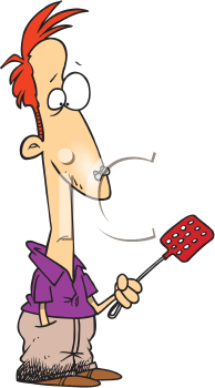 Insect Clipart