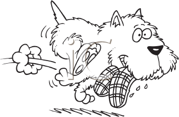 Pet Clipart