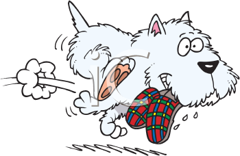 Pet Clipart