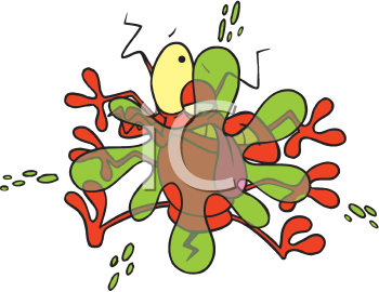 Insect Clipart