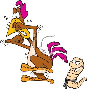 Invertebrates Clipart