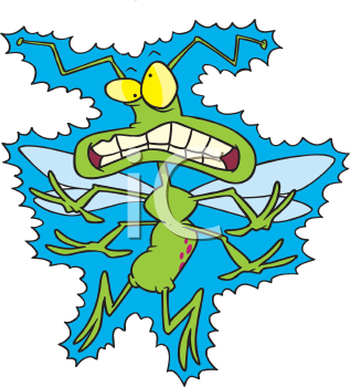 Insect Clipart