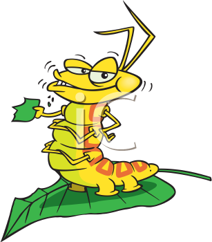 Insect Clipart