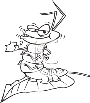 Insect Clipart